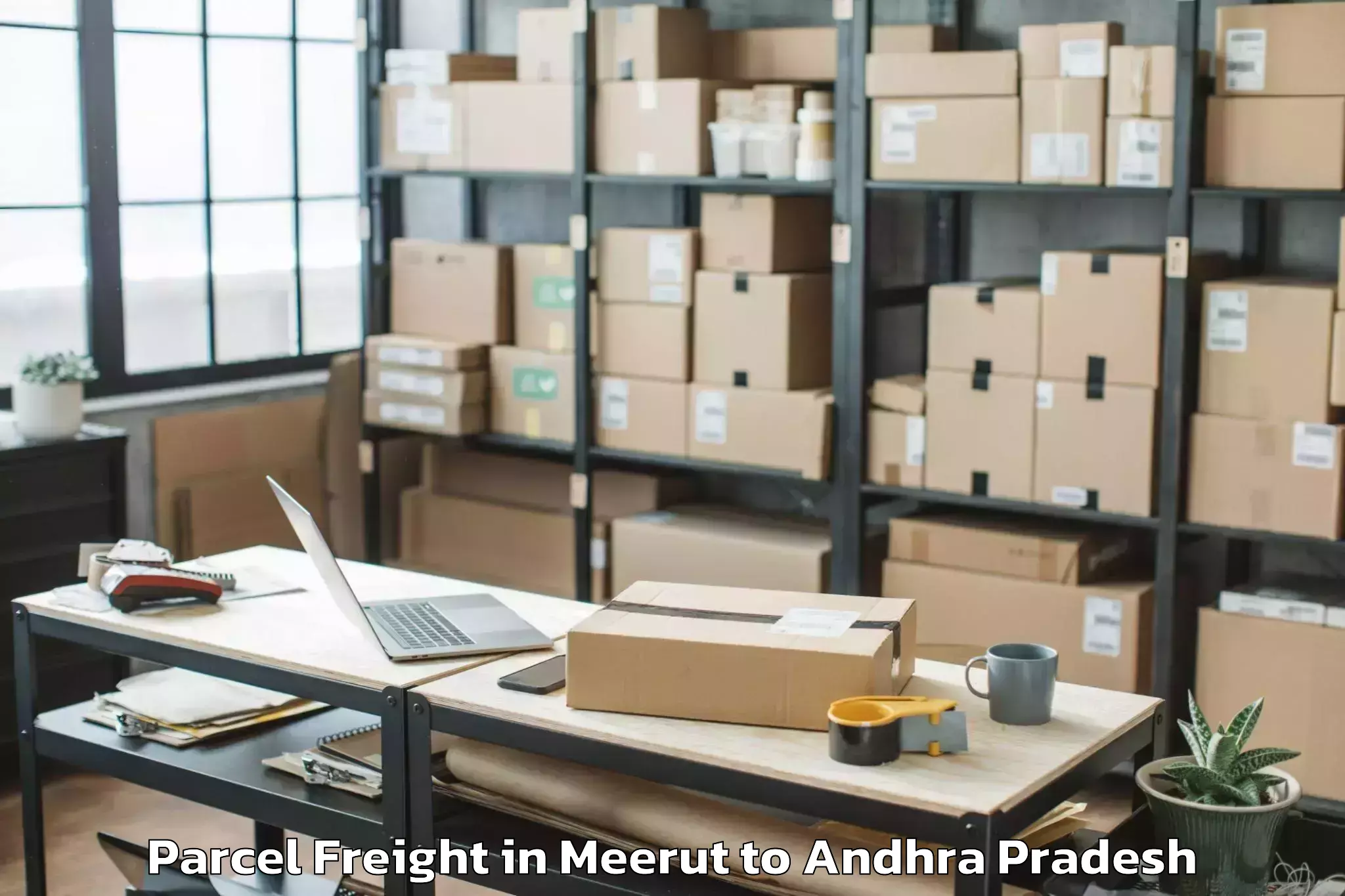 Expert Meerut to Narasannapeta Parcel Freight